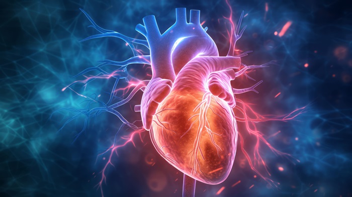 Image: Pulsed field ablation has been found to be safe for treating patients with common types of atrial fibrillation (Photo courtesy of Adobe Stock)